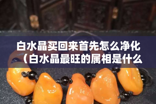 白水晶买回来首先怎么净化（白水晶最旺的属相是什么）