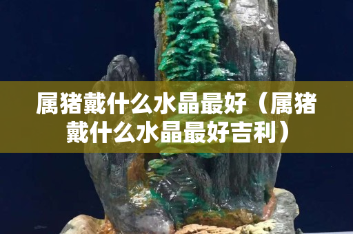 属猪戴什么水晶最好（属猪戴什么水晶最好吉利）