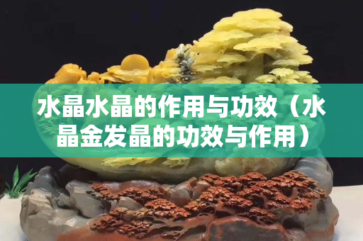 水晶水晶的作用与功效（水晶金发晶的功效与作用）
