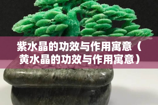 紫水晶的功效与作用寓意（黄水晶的功效与作用寓意）