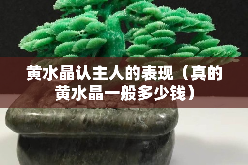 黄水晶认主人的表现（真的黄水晶一般多少钱）
