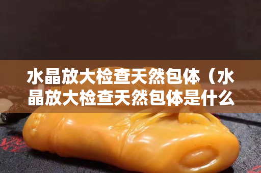 水晶放大检查天然包体（水晶放大检查天然包体是什么意思）