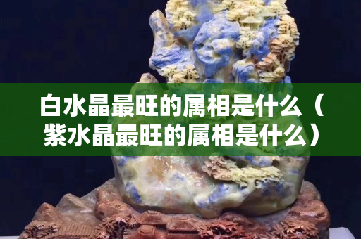 白水晶最旺的属相是什么（紫水晶最旺的属相是什么）
