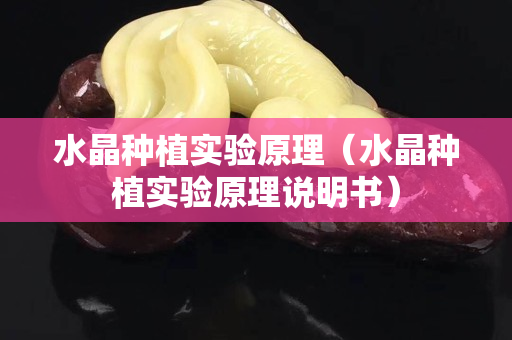 水晶种植实验原理（水晶种植实验原理说明书）
