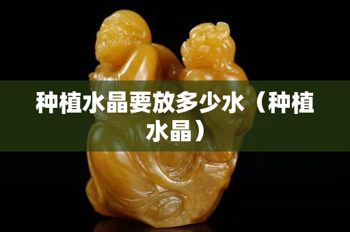 种植水晶要放多少水（种植水晶）