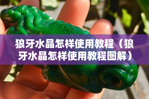 狼牙水晶怎样使用教程（狼牙水晶怎样使用教程图解）