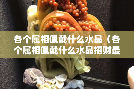 各个属相佩戴什么水晶（各个属相佩戴什么水晶招财最好）
