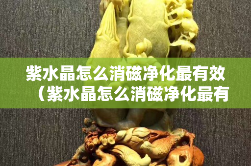 紫水晶怎么消磁净化最有效（紫水晶怎么消磁净化最有效果）