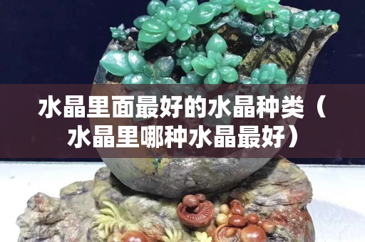 水晶里面最好的水晶种类（水晶里哪种水晶最好）