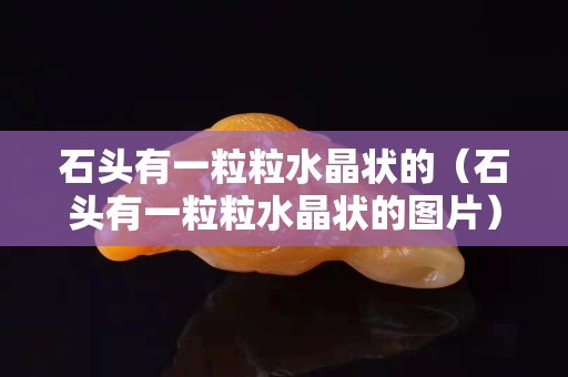 石头有一粒粒水晶状的（石头有一粒粒水晶状的图片）