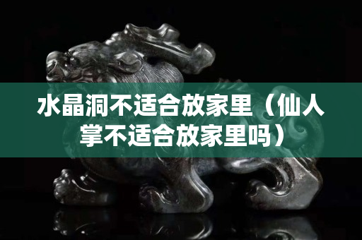 水晶洞不适合放家里（仙人掌不适合放家里吗）