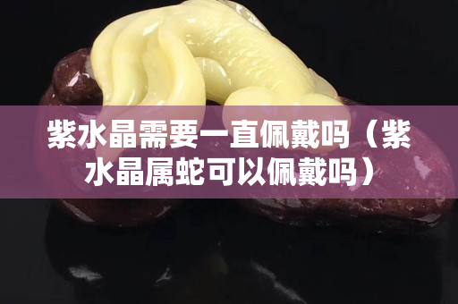 紫水晶需要一直佩戴吗（紫水晶属蛇可以佩戴吗）