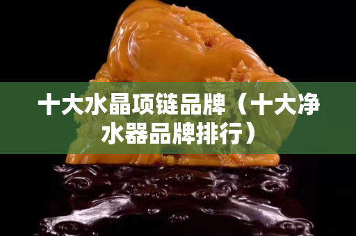 十大水晶项链品牌（十大净水器品牌排行）
