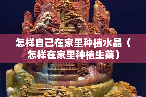 怎样自己在家里种植水晶（怎样在家里种植生菜）
