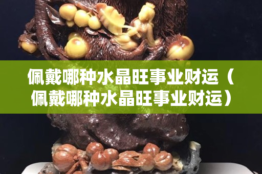 佩戴哪种水晶旺事业财运（佩戴哪种水晶旺事业财运）