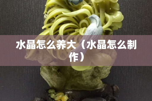 水晶怎么养大（水晶怎么制作）