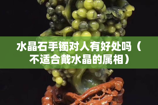水晶石手镯对人有好处吗（不适合戴水晶的属相）