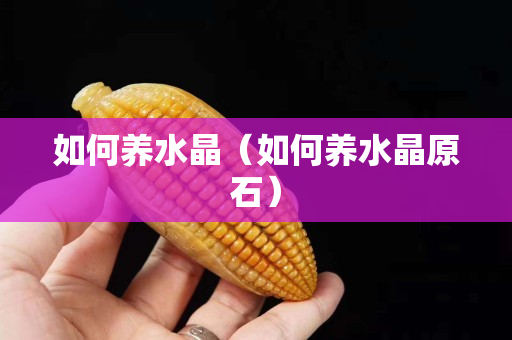 如何养水晶（如何养水晶原石）