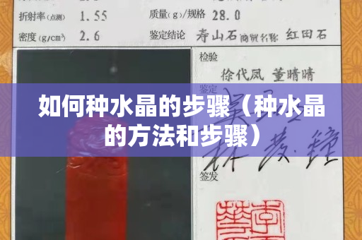 如何种水晶的步骤（种水晶的方法和步骤）