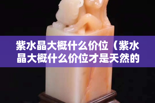 紫水晶大概什么价位（紫水晶大概什么价位才是天然的）