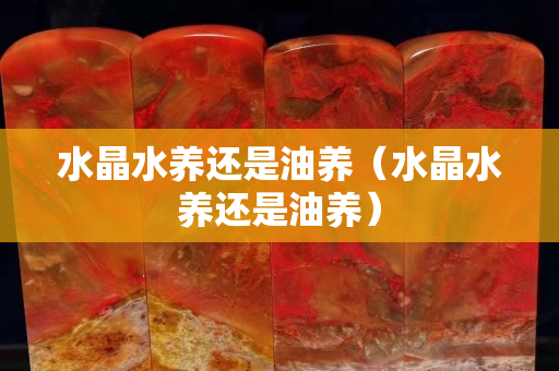 水晶水养还是油养（水晶水养还是油养）