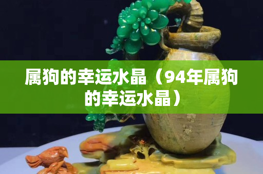 属狗的幸运水晶（94年属狗的幸运水晶）