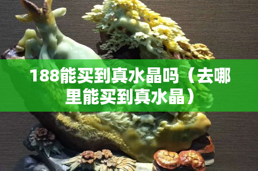 188能买到真水晶吗（去哪里能买到真水晶）