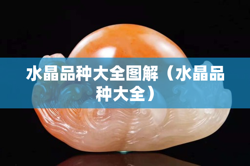 水晶品种大全图解（水晶品种大全）