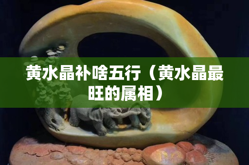 黄水晶补啥五行（黄水晶最旺的属相）