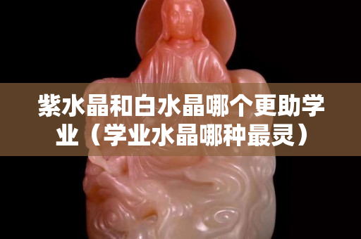 紫水晶和白水晶哪个更助学业（学业水晶哪种最灵）