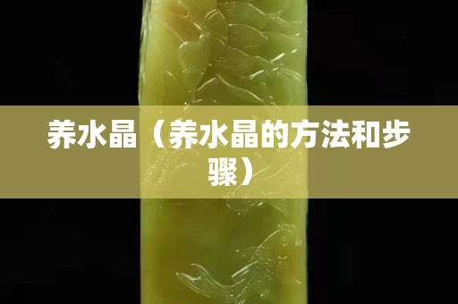 养水晶（养水晶的方法和步骤）