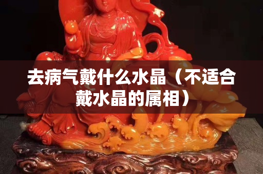 去病气戴什么水晶（不适合戴水晶的属相）