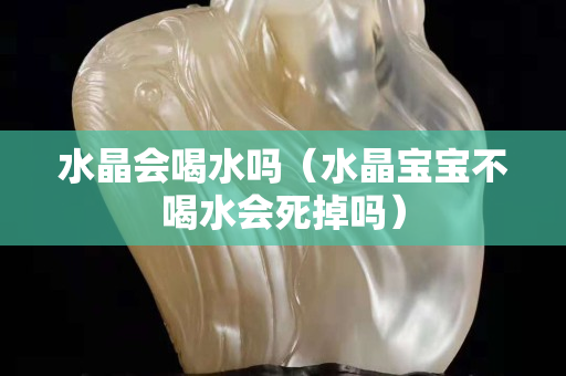 水晶会喝水吗（水晶宝宝不喝水会死掉吗）