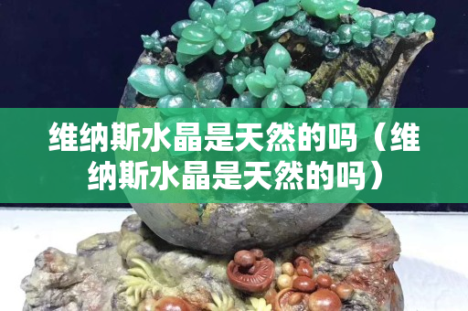维纳斯水晶是天然的吗（维纳斯水晶是天然的吗）
