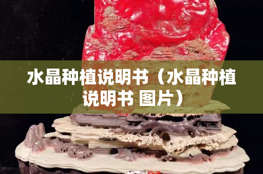 水晶种植说明书（水晶种植说明书 图片）