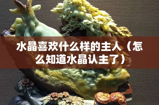 水晶喜欢什么样的主人（怎么知道水晶认主了）