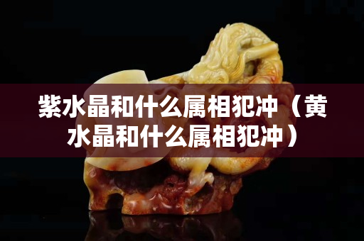 紫水晶和什么属相犯冲（黄水晶和什么属相犯冲）