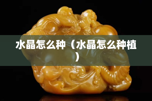 水晶怎么种（水晶怎么种植）