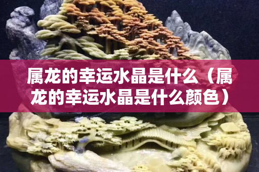 属龙的幸运水晶是什么（属龙的幸运水晶是什么颜色）