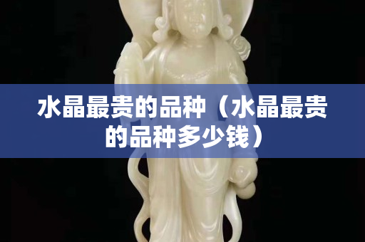 水晶最贵的品种（水晶最贵的品种多少钱）