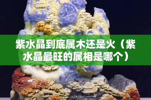 紫水晶到底属木还是火（紫水晶最旺的属相是哪个）