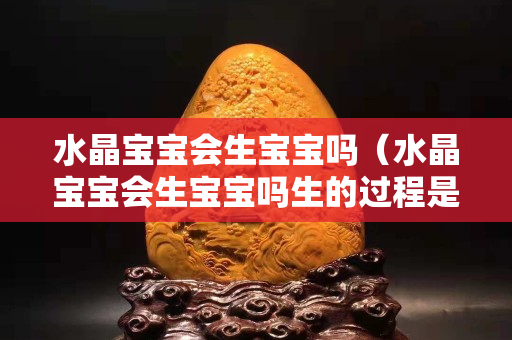 水晶宝宝会生宝宝吗（水晶宝宝会生宝宝吗生的过程是什么样子的）