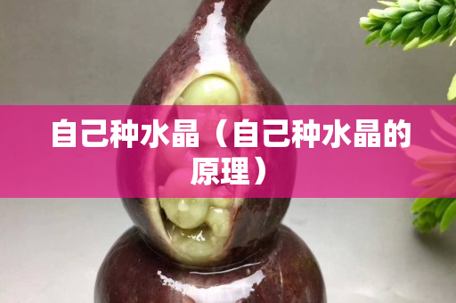 自己种水晶（自己种水晶的原理）