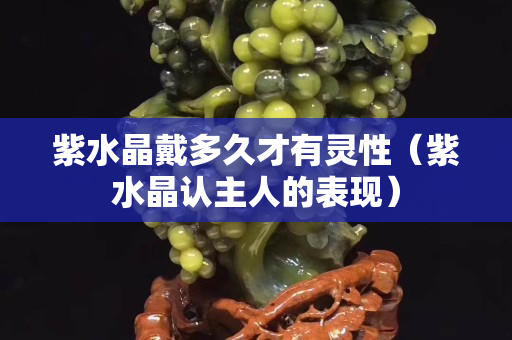 紫水晶戴多久才有灵性（紫水晶认主人的表现）