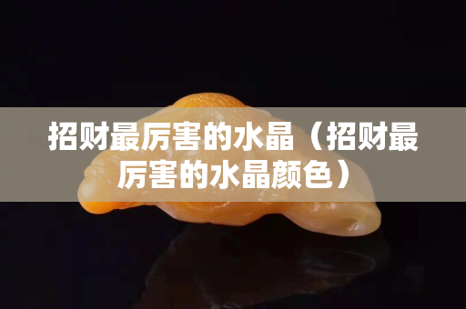 招财最厉害的水晶（招财最厉害的水晶颜色）