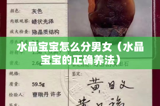 水晶宝宝怎么分男女（水晶宝宝的正确养法）