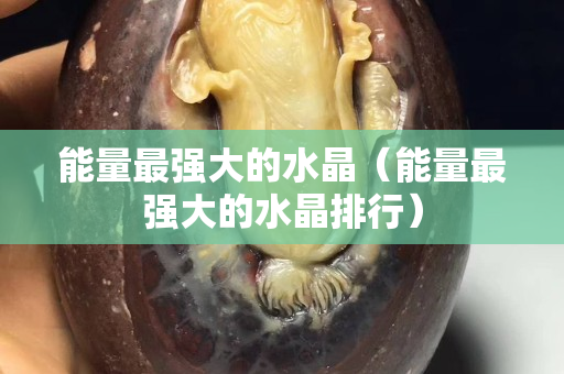 能量最强大的水晶（能量最强大的水晶排行）