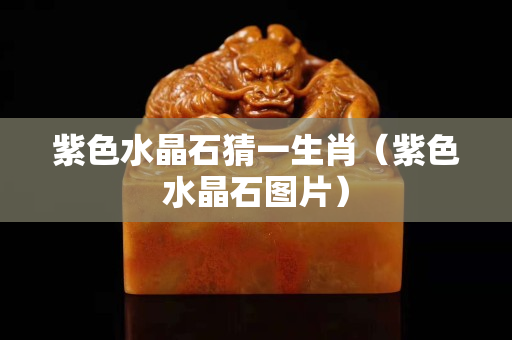 紫色水晶石猜一生肖（紫色水晶石图片）