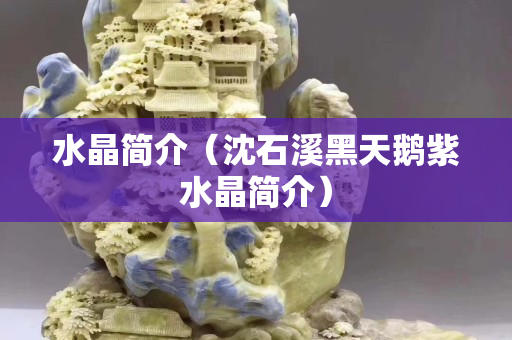 水晶简介（沈石溪黑天鹅紫水晶简介）