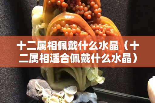 十二属相佩戴什么水晶（十二属相适合佩戴什么水晶）